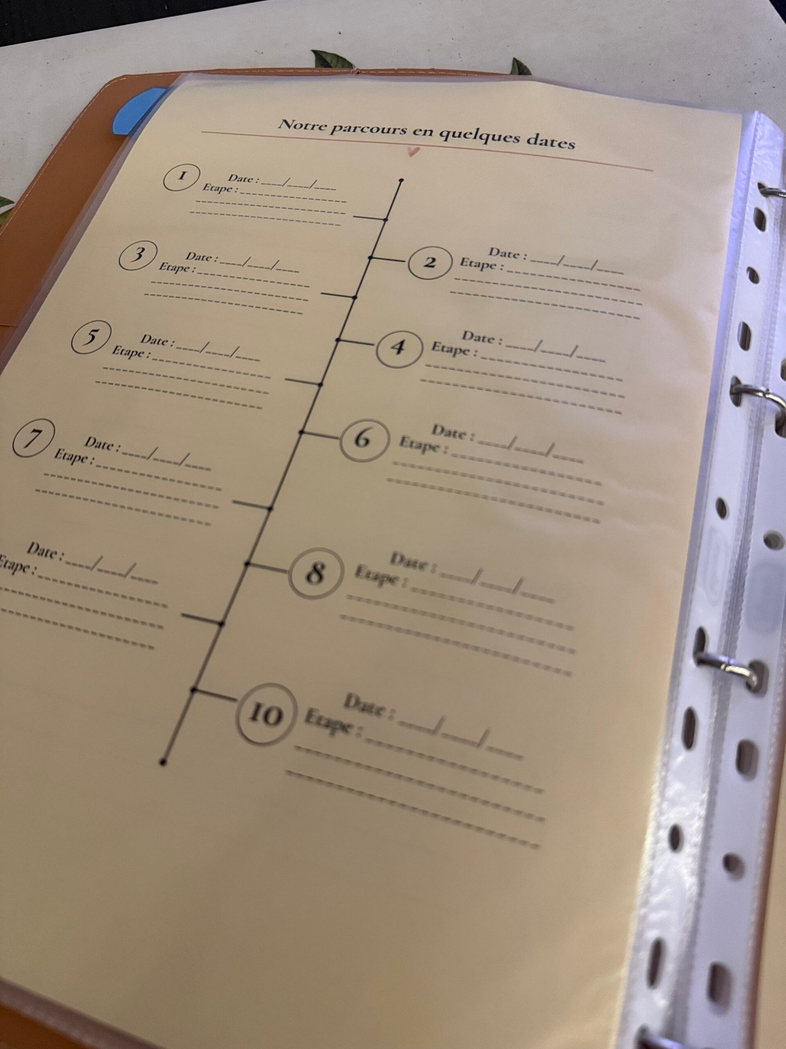 Classeur de suivi PMA personnalisé – Parcours FIV, icsi, iac, iad, tec – Organisateur fertilité – Cadeau parcours PMA – Image 8