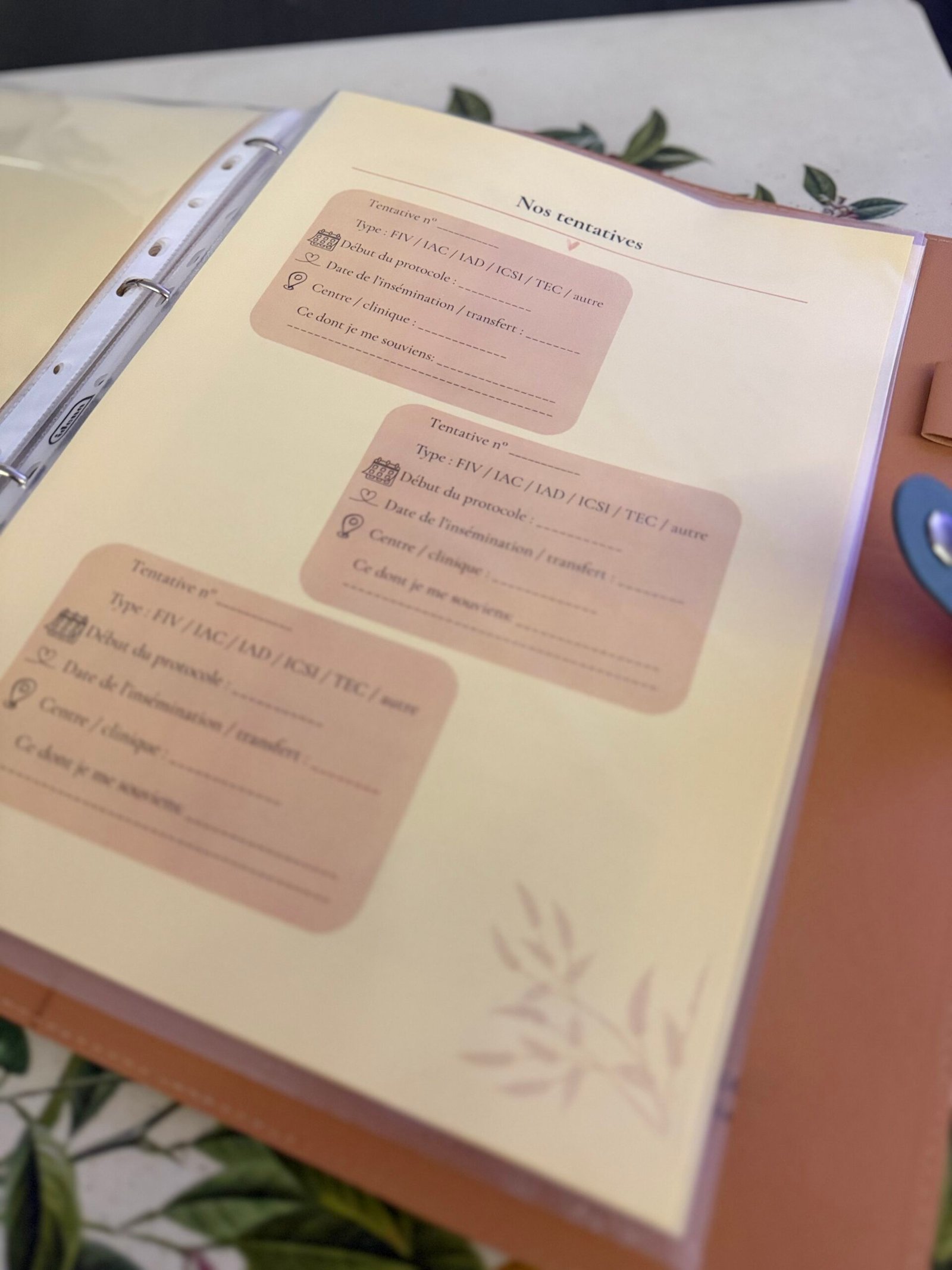 Classeur de suivi PMA personnalisé – Parcours FIV, icsi, iac, iad, tec – Organisateur fertilité – Cadeau parcours PMA – Image 9