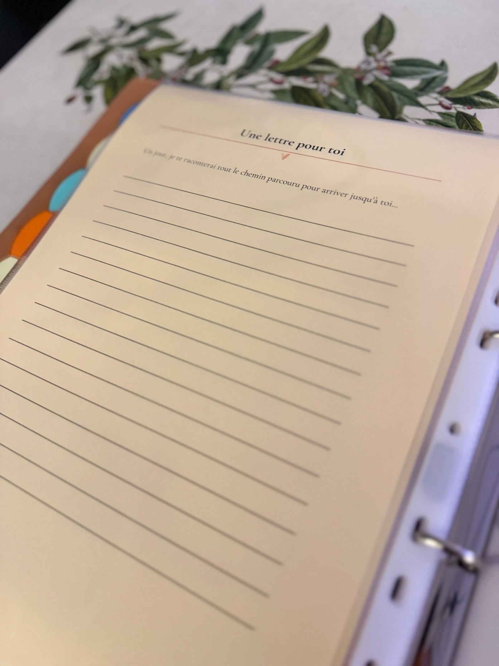 Classeur de suivi PMA personnalisé – Parcours FIV, icsi, iac, iad, tec – Organisateur fertilité – Cadeau parcours PMA – Image 10